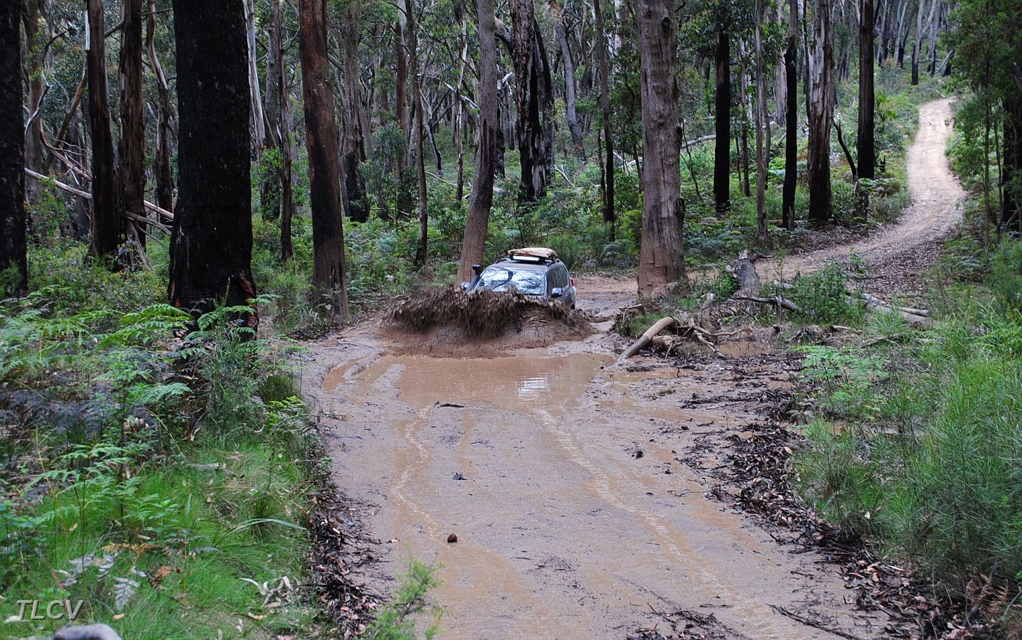 12-Raj increases the power thru the bog.JPG